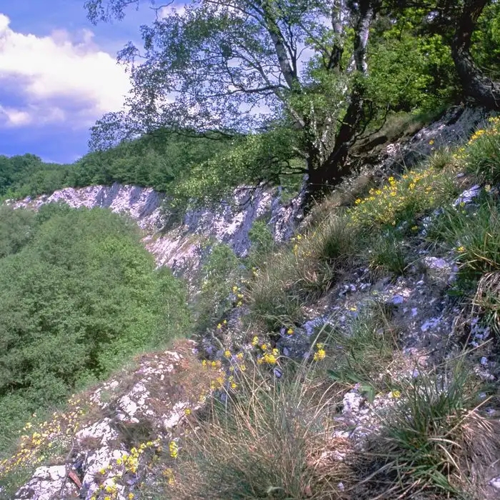 0416 Bund Niedersachsen