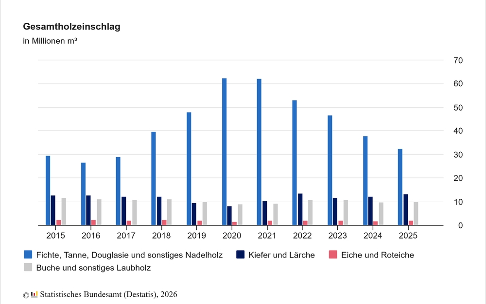 0420 Destatis2 holzeinschlag holzarten