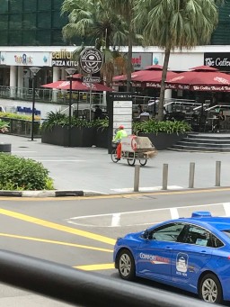 Rau Singapur